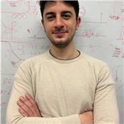 Laureato in Fisica impartisce lezioni private di Matematica, Analisi, Algebra per studenti universitari e di scuola secondaria